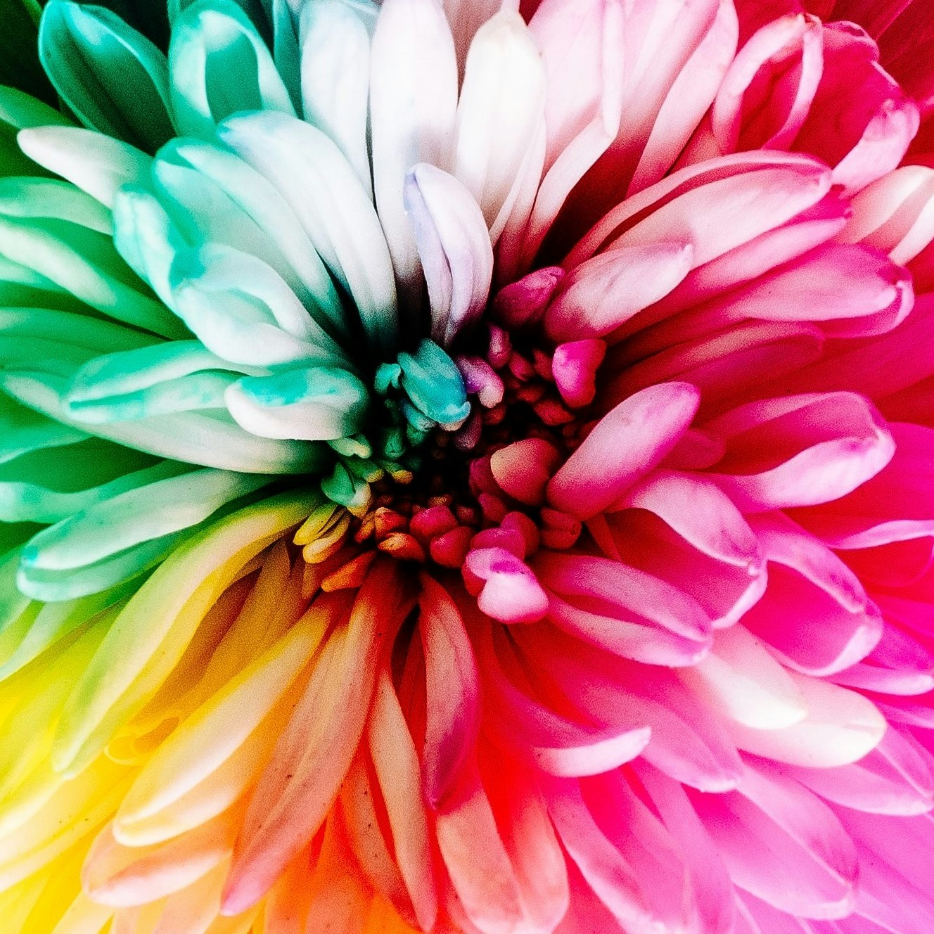 Accéder au profil de Silent Singer