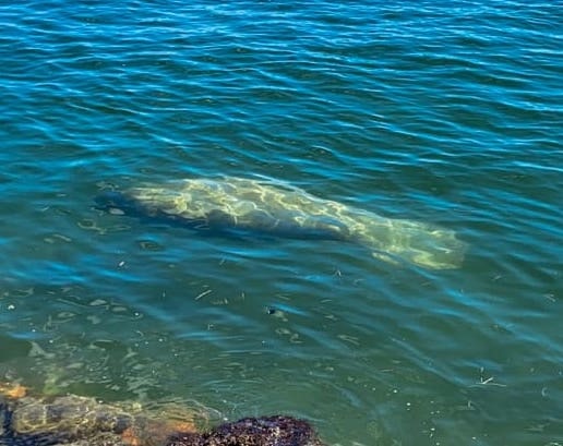 Go to Adrian Diaz-Sieckel's profile