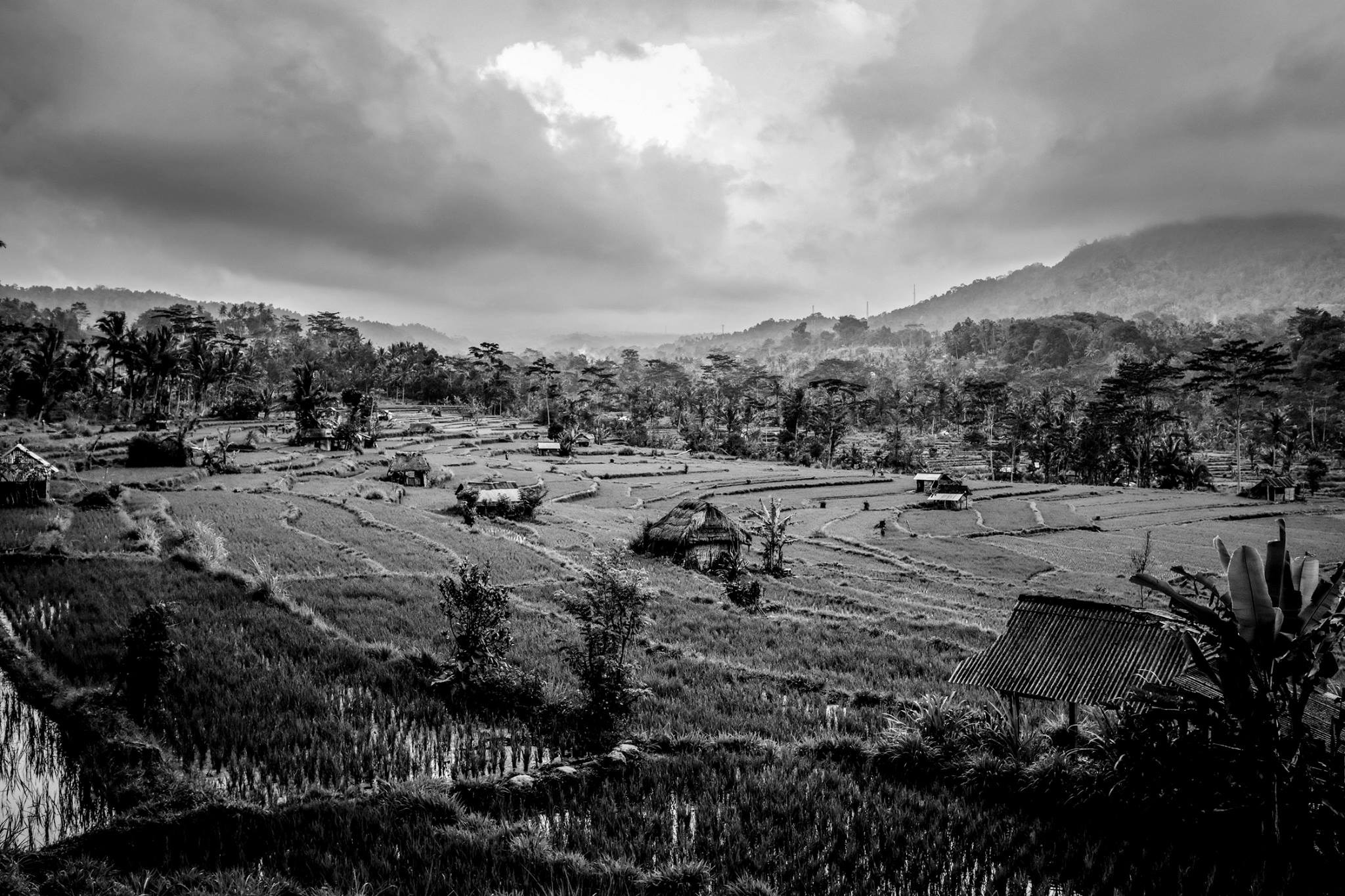 Go to Christian Gertenbach's profile