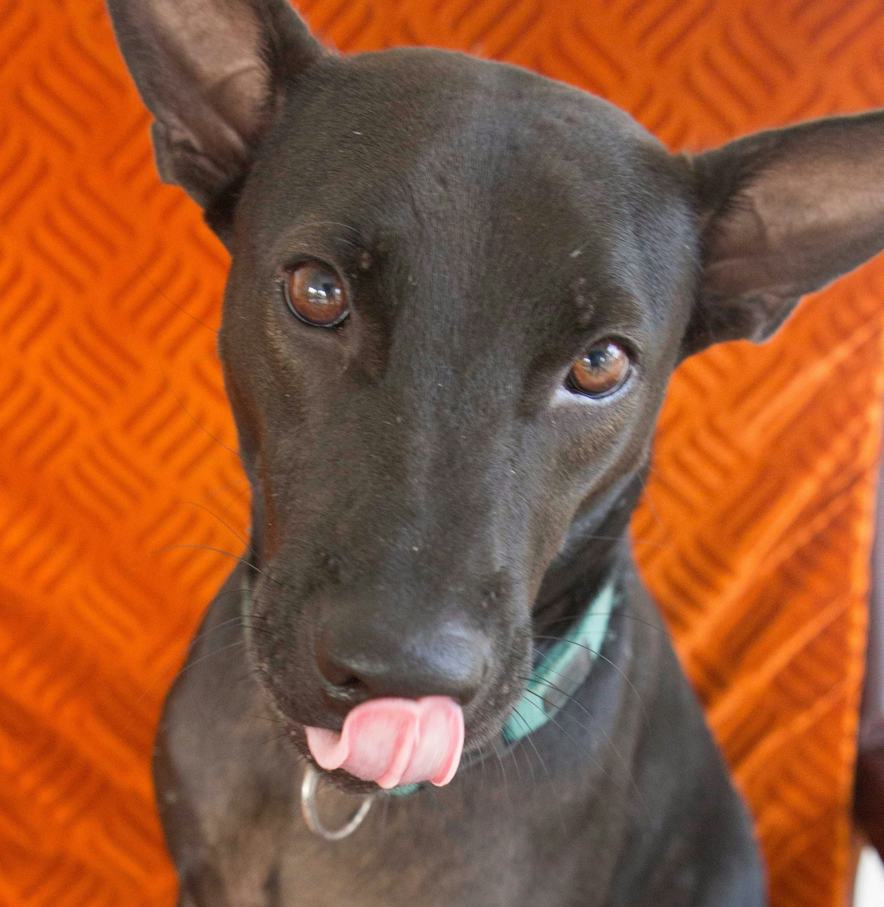 Go to Daniel Pell's profile