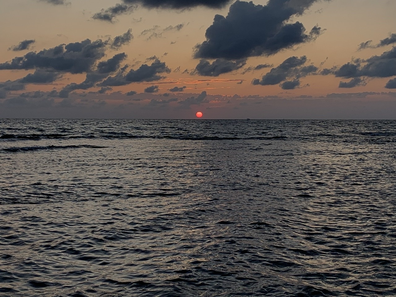 Ve al perfil de Igor