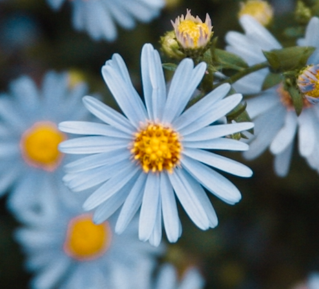 Go to Melanie Kreutz's profile