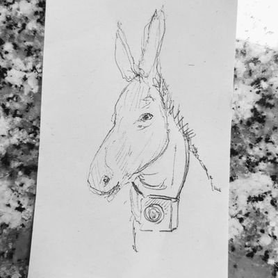 Zum Profil von Street Donkey