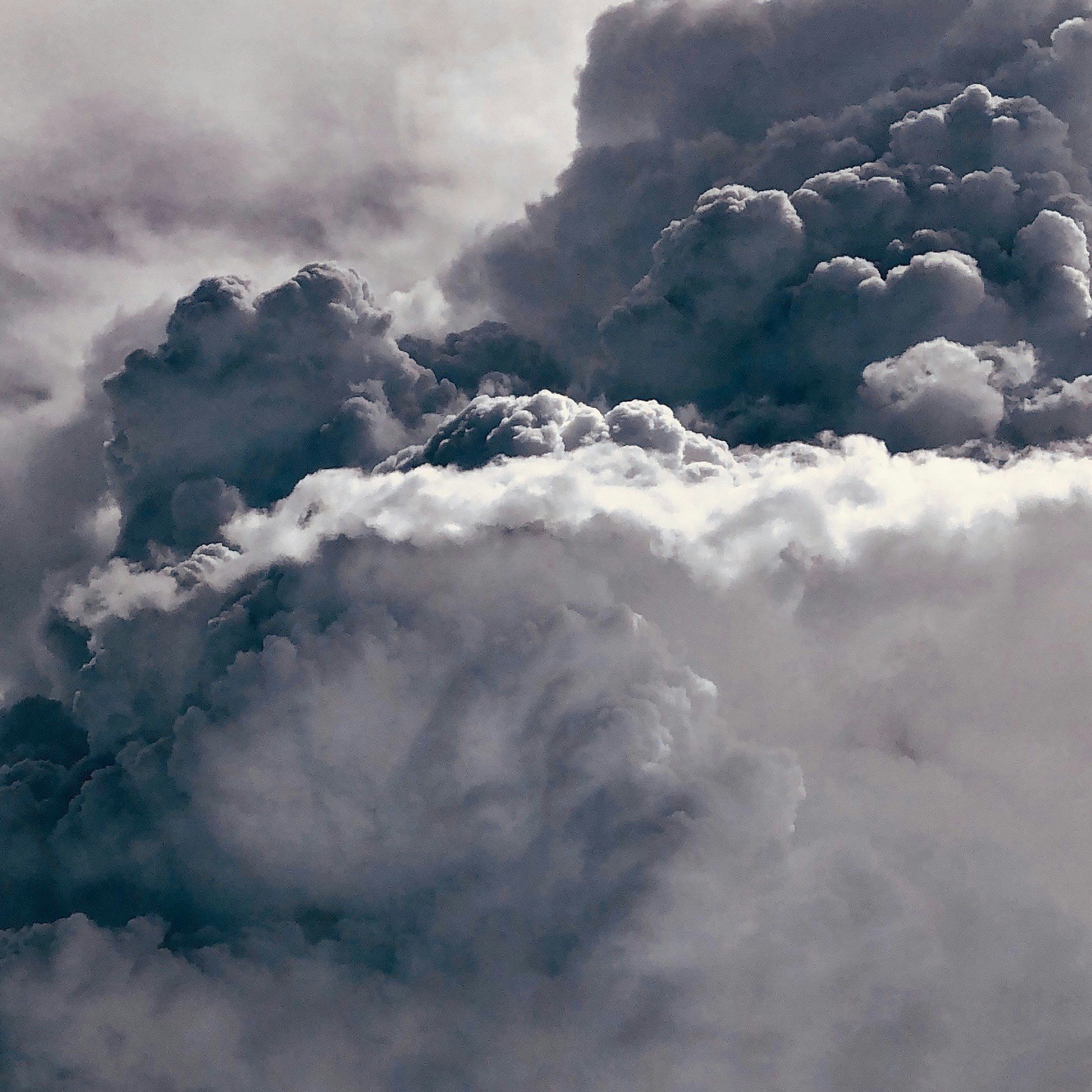 Go to Carolyn's profile