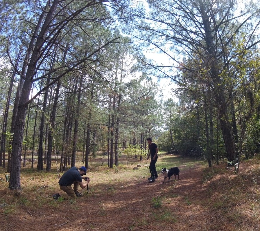 Go to patricio davalos's profile