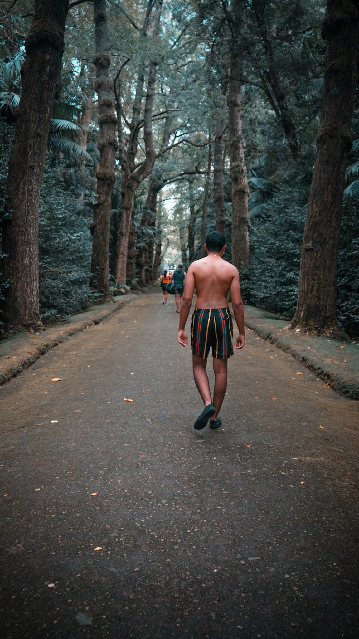 Go to Wesley Correa's profile