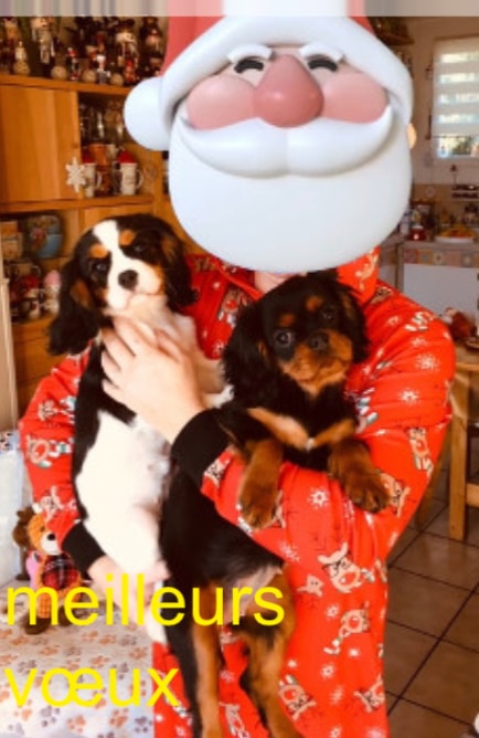 Avatar of user Ilona Froehlich