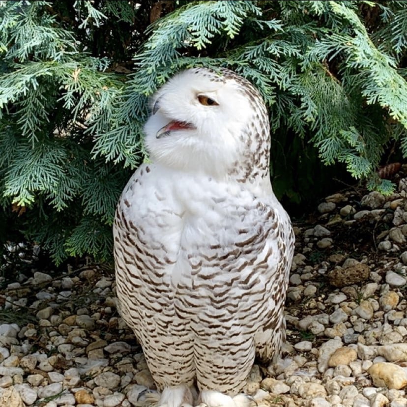 Go to Zhiyuan Sun's profile