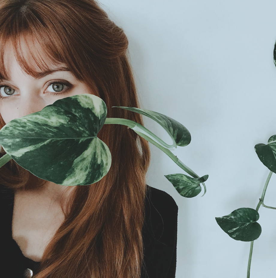 Go to kaluci's profile