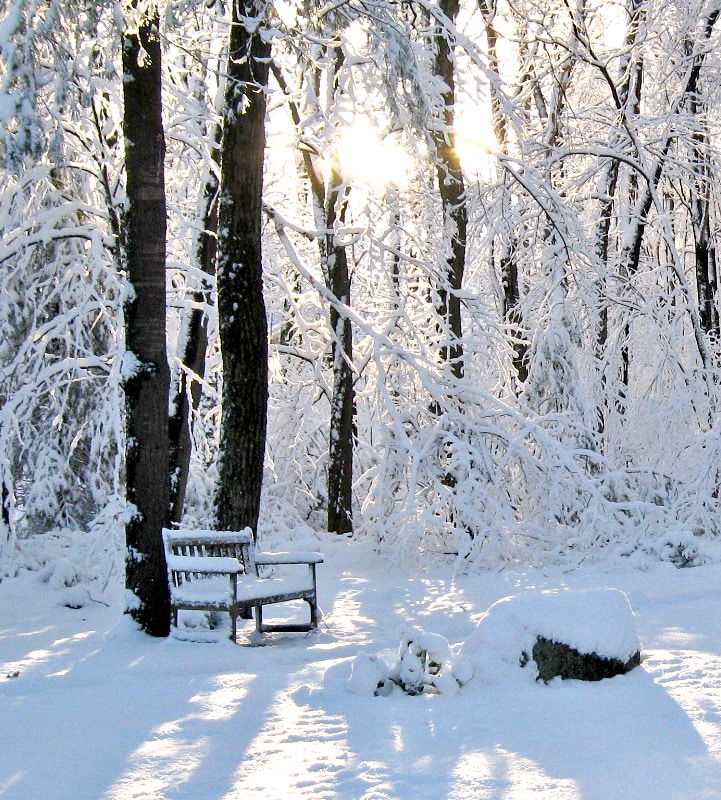 Go to e fedorzyn's profile