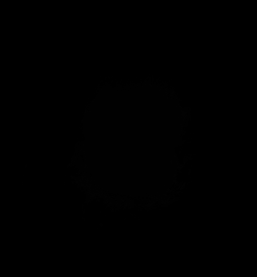 Go to pɓd pɐɥɐɟ's profile