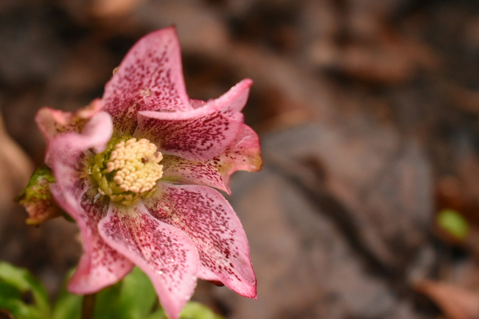 Go to welcometojo_'s profile