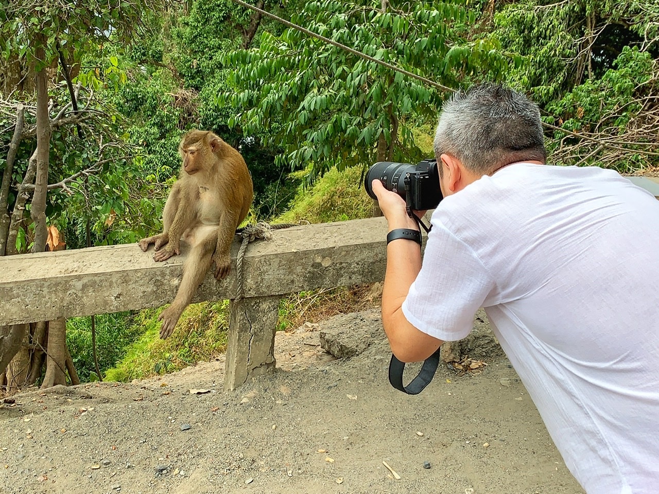 Vai al profilo di Robert Eklund