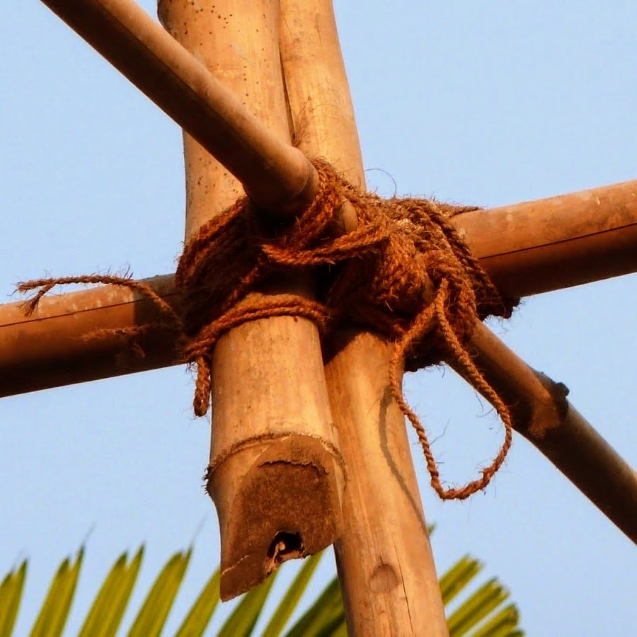 Go to Yannis Cotsonis's profile