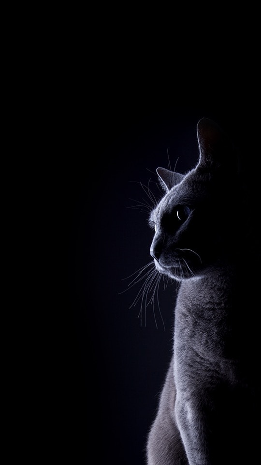 Go to Skyler W's profile