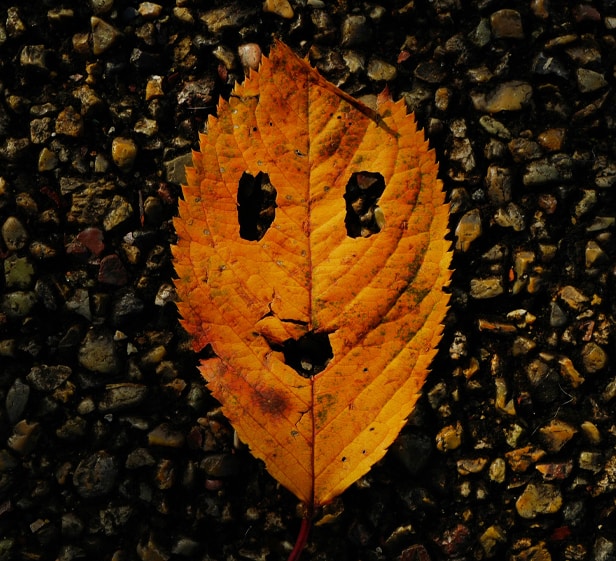 Go to Tom Tor's profile