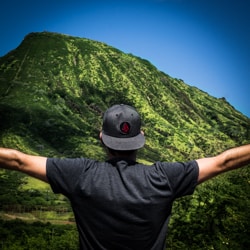 Go to Hawaiiurlaub.de | 🐢☀️🤙🏽🌴🌋's profile