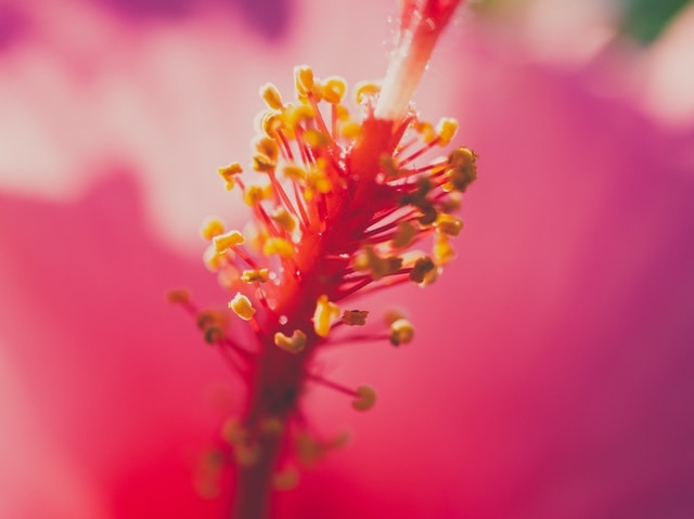 Go to Sonny Sixteen's profile