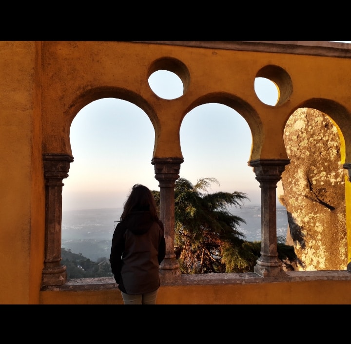 Cmst Mayのプロフィールを見る