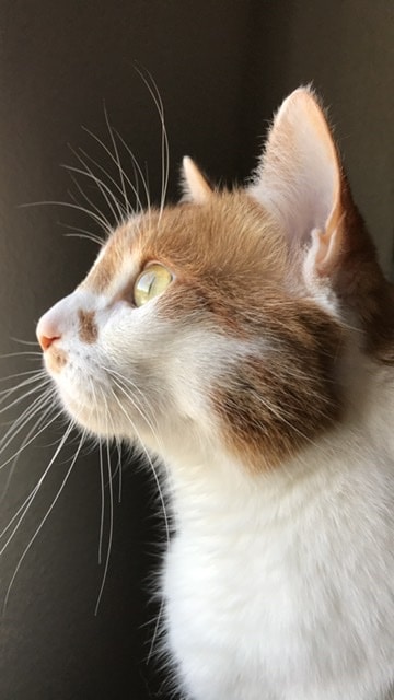 Go to Brianna Tracy's profile