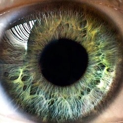 Go to Robert Klank's profile