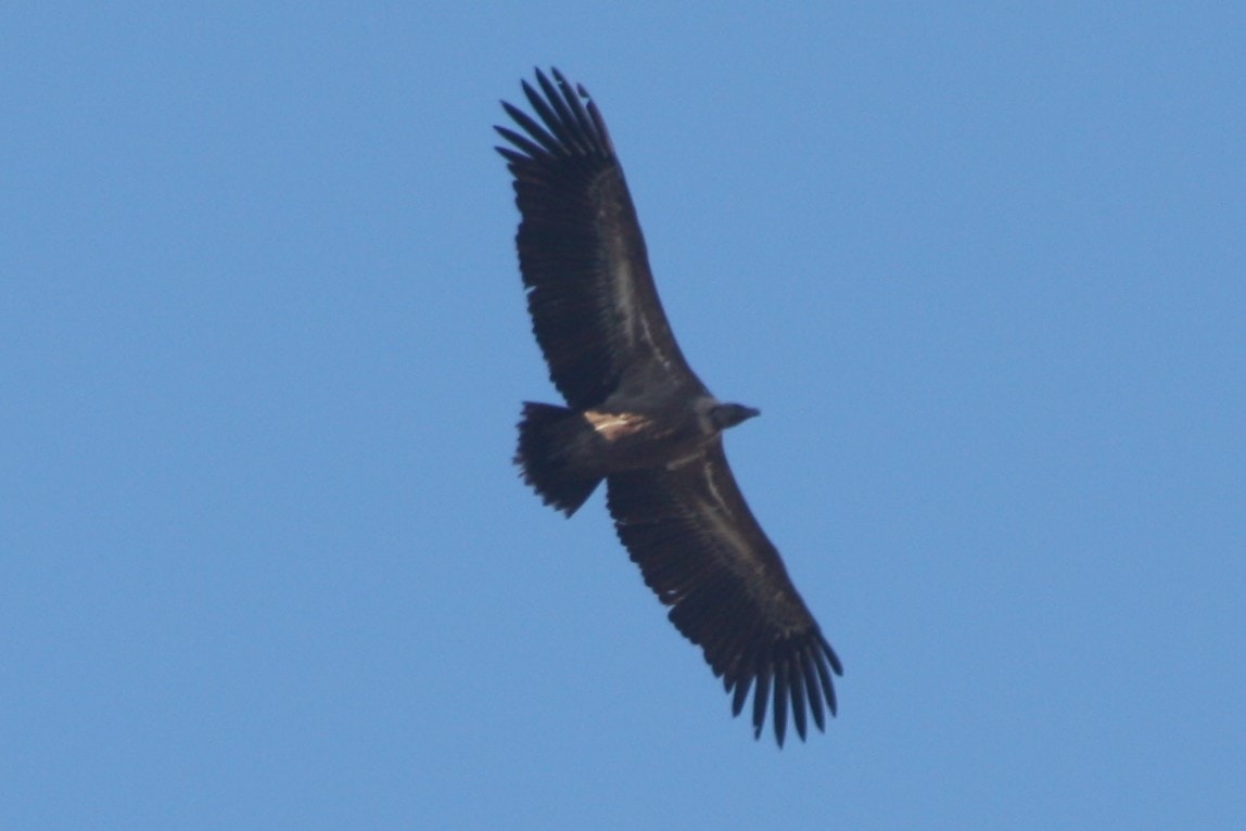 Ir para o perfil de Cantabria Calling