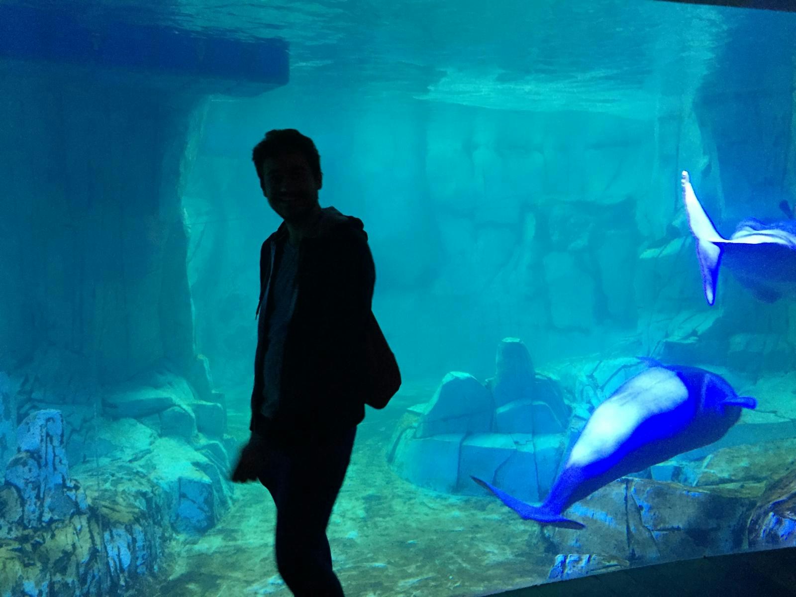 Go to Michele Bitetto's profile