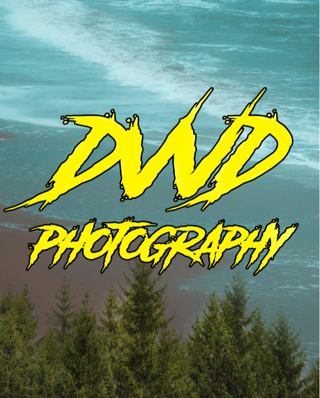 Go to David Beneš's profile