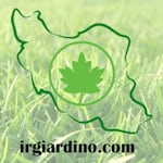 Avatar of user giardino group