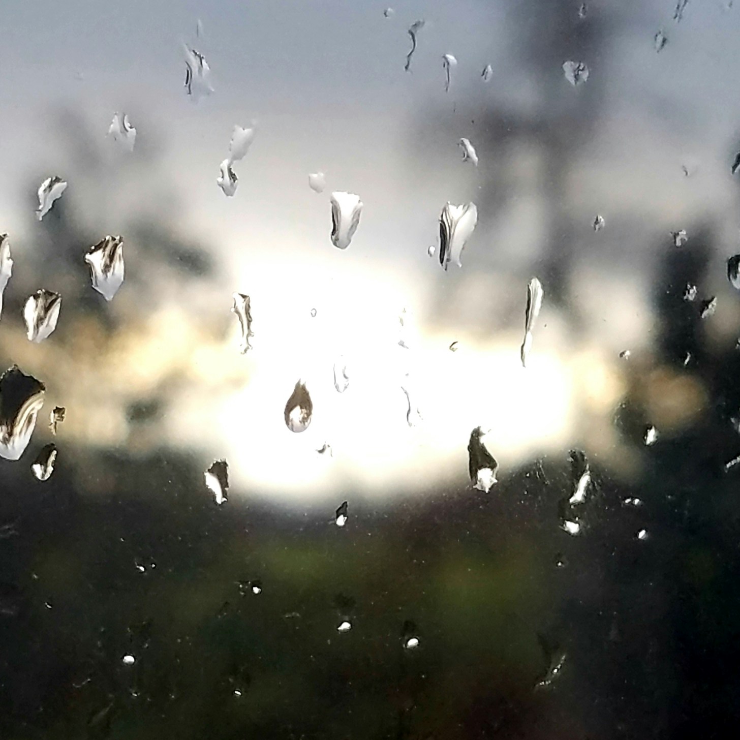 Avatar of user User Friendly