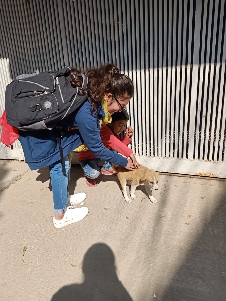 Ve al perfil de joba khan