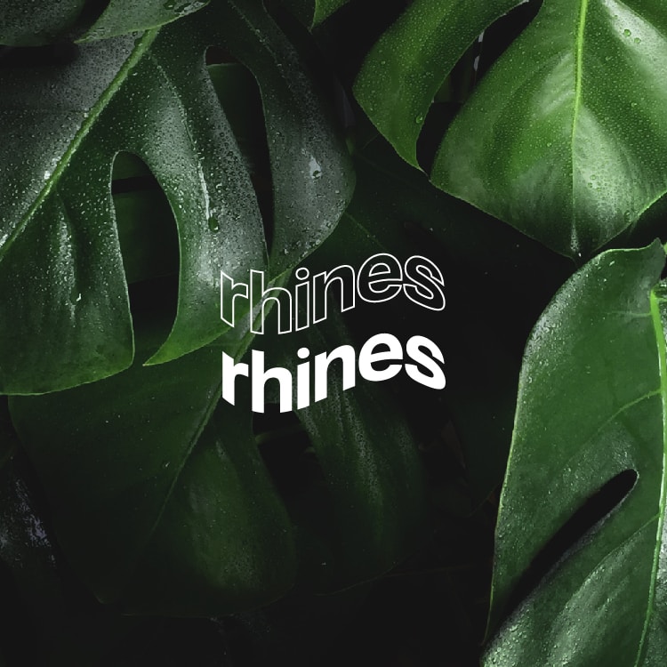 Go to Todd Rhines's profile