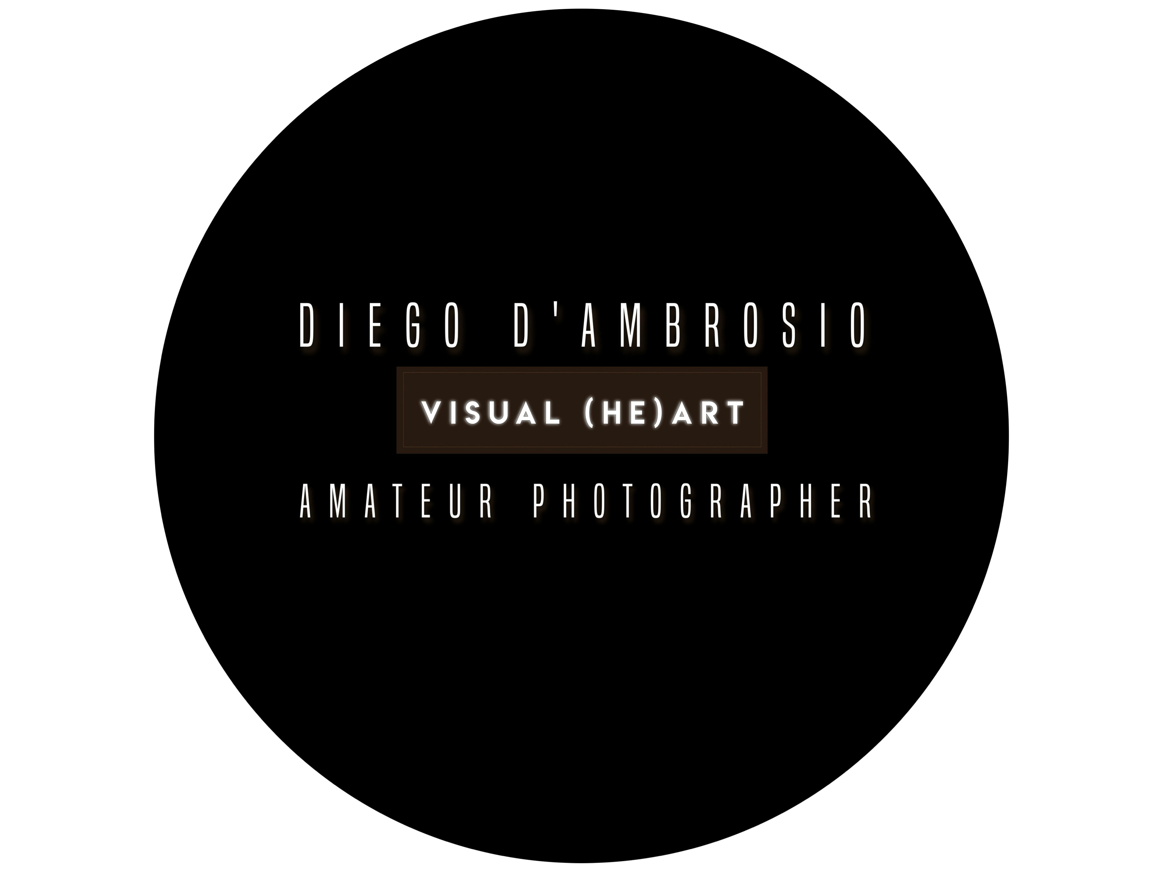 Go to DIEGO D’AMBROSIO's profile