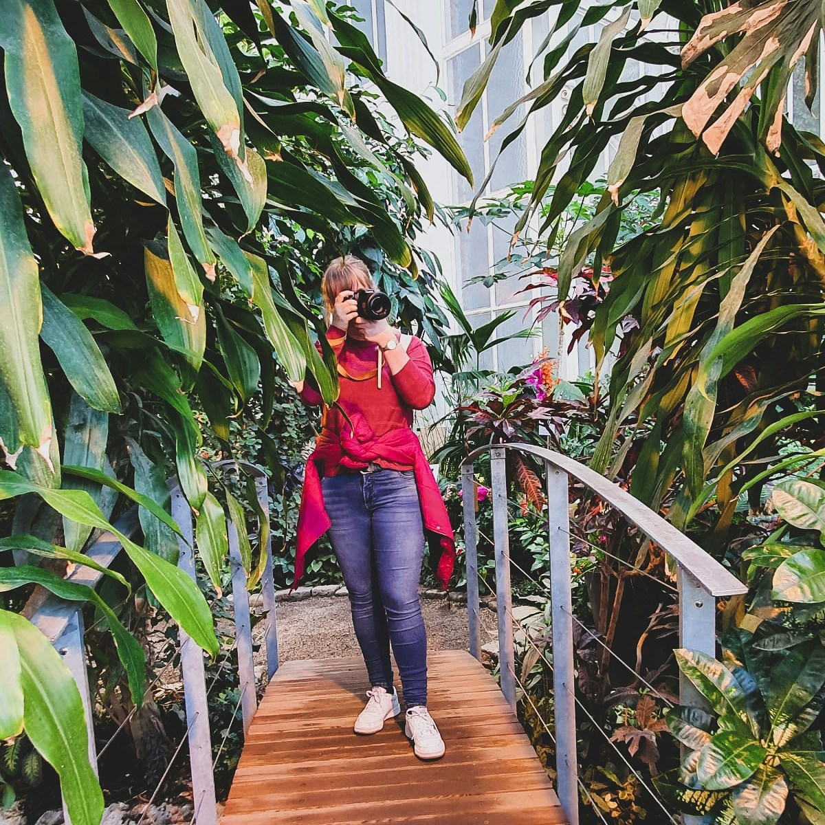 Go to Josefin's profile