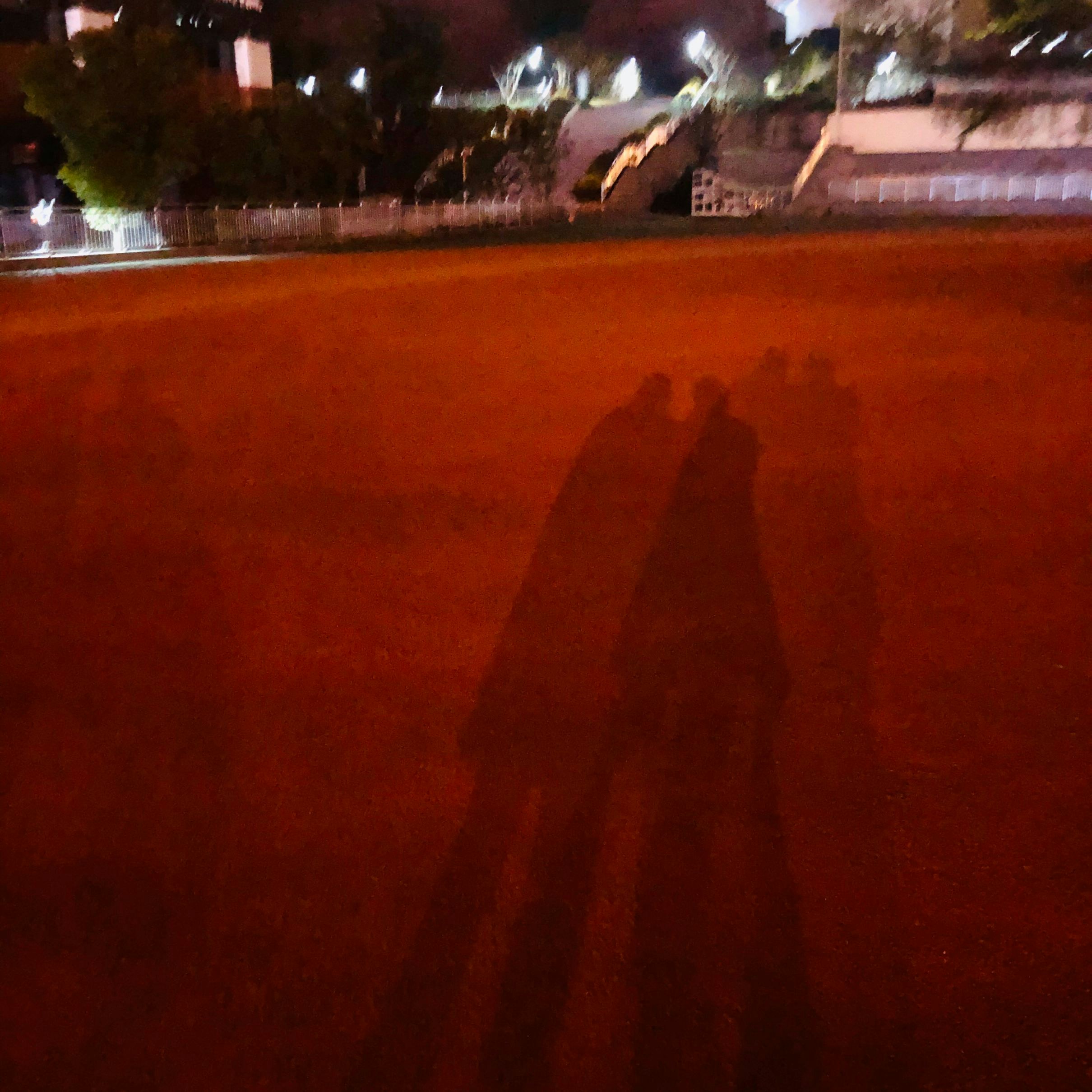 Go to Zou Hanzhi's profile