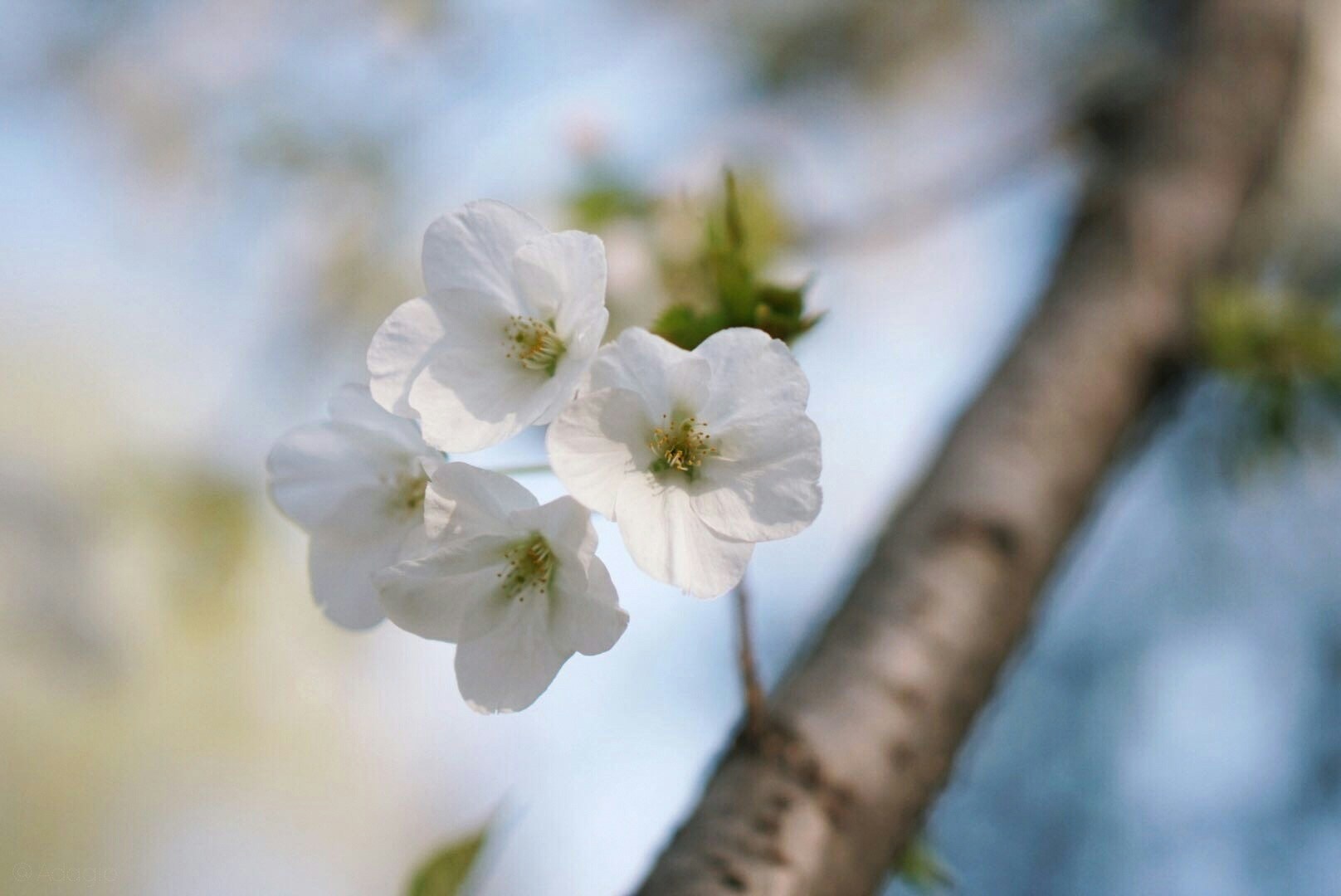 Go to Eva Chen's profile