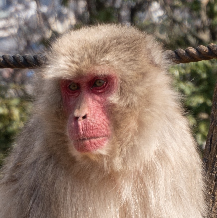 Accéder au profil de Rinat T