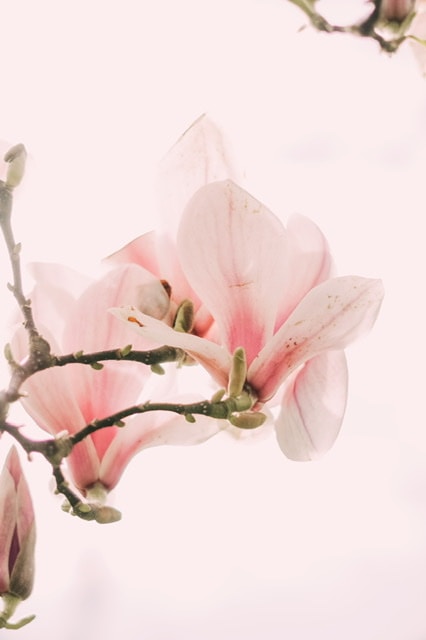 Go to Fee Billen's profile