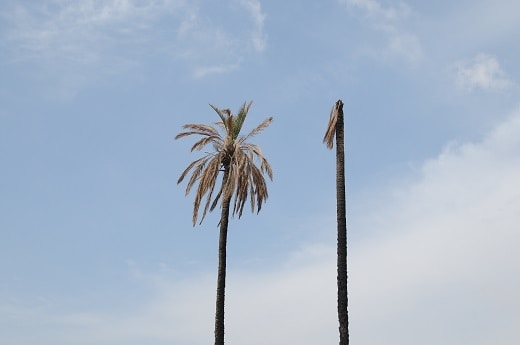 Go to kz mozaffari's profile