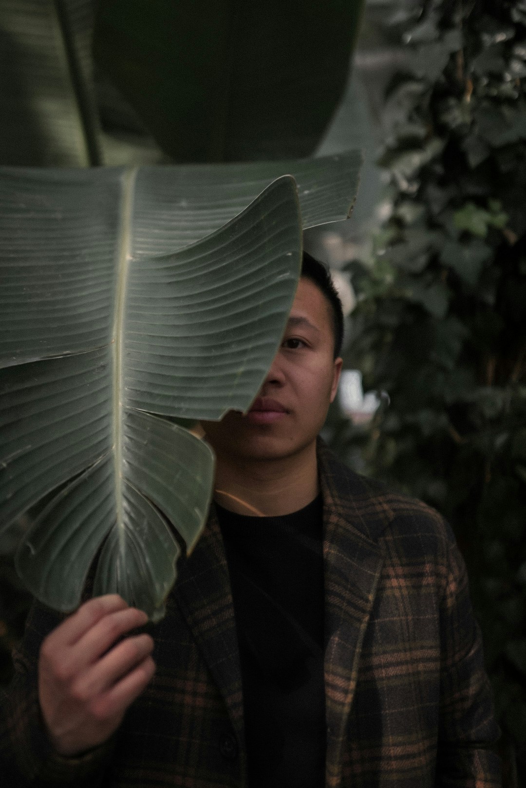 Go to Peng Yang's profile