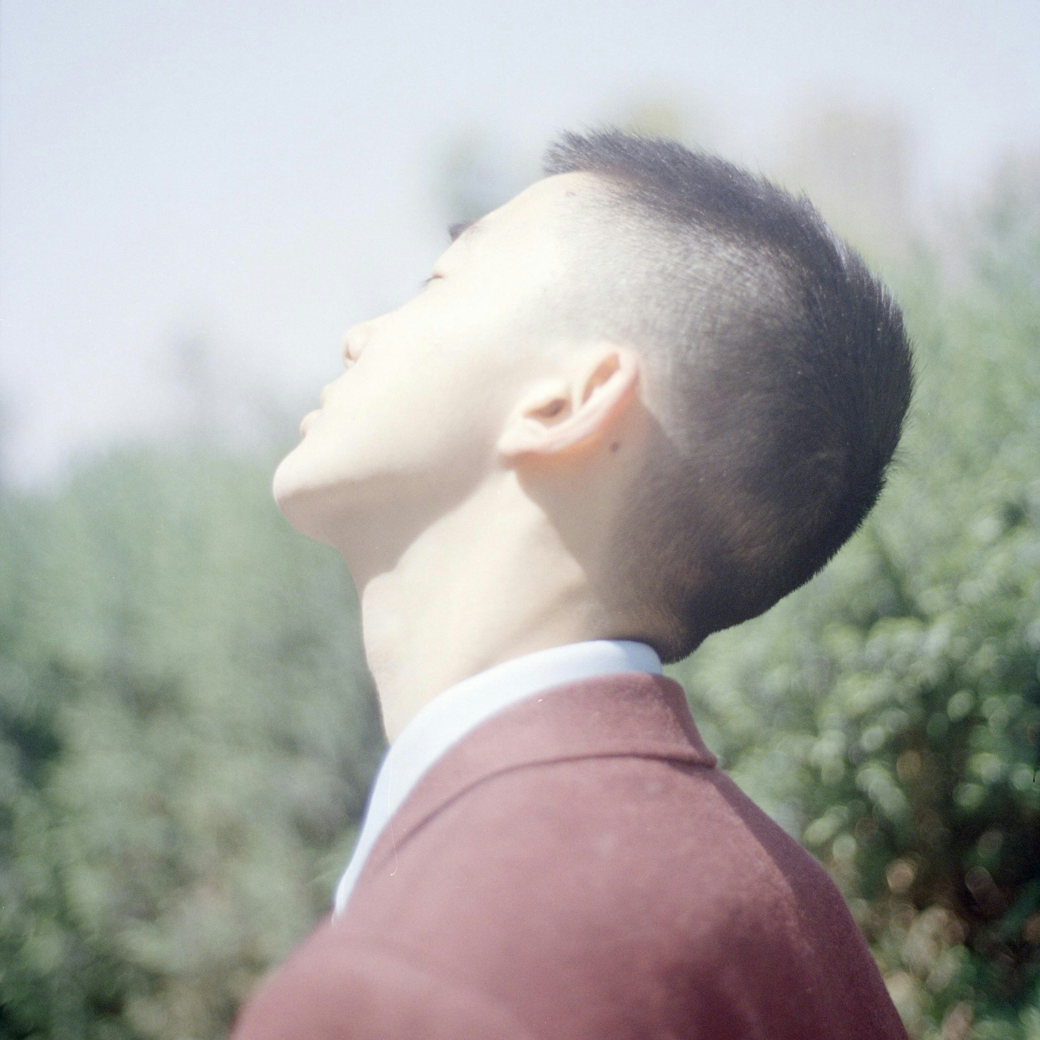 Go to Lang's profile