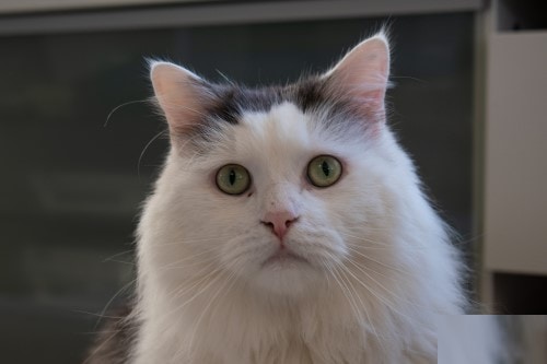 Go to Anna's profile