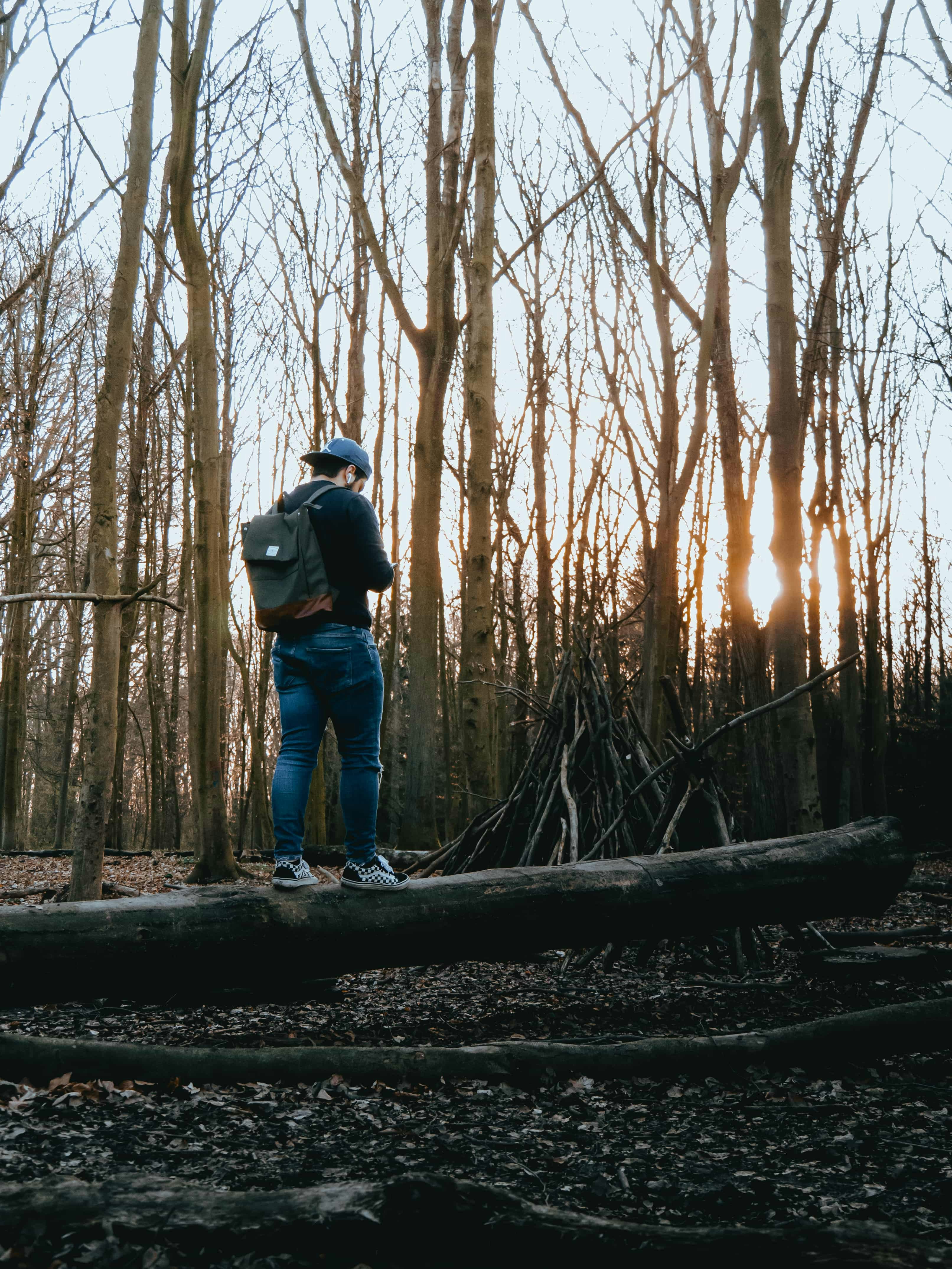 Vai al profilo di Moheb Anwari