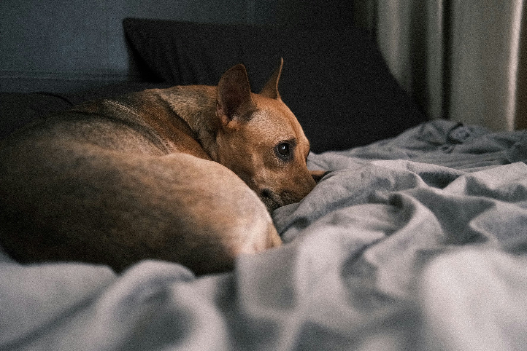 Go to Sarah G.'s profile