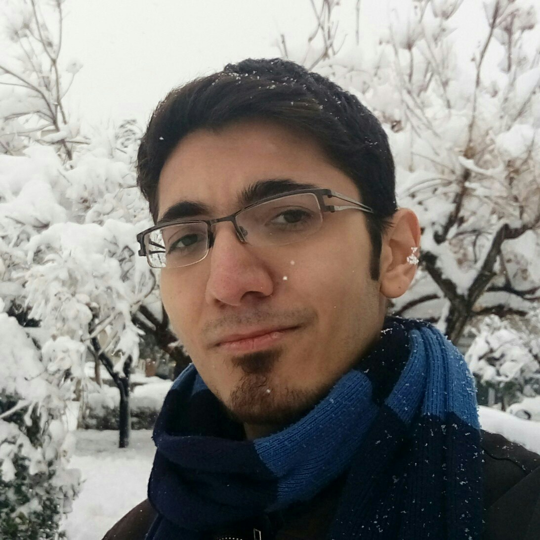 Go to Mohammad Ghaffari's profile