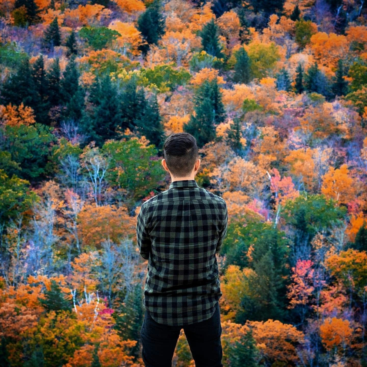 Go to Alexander Rivera's profile