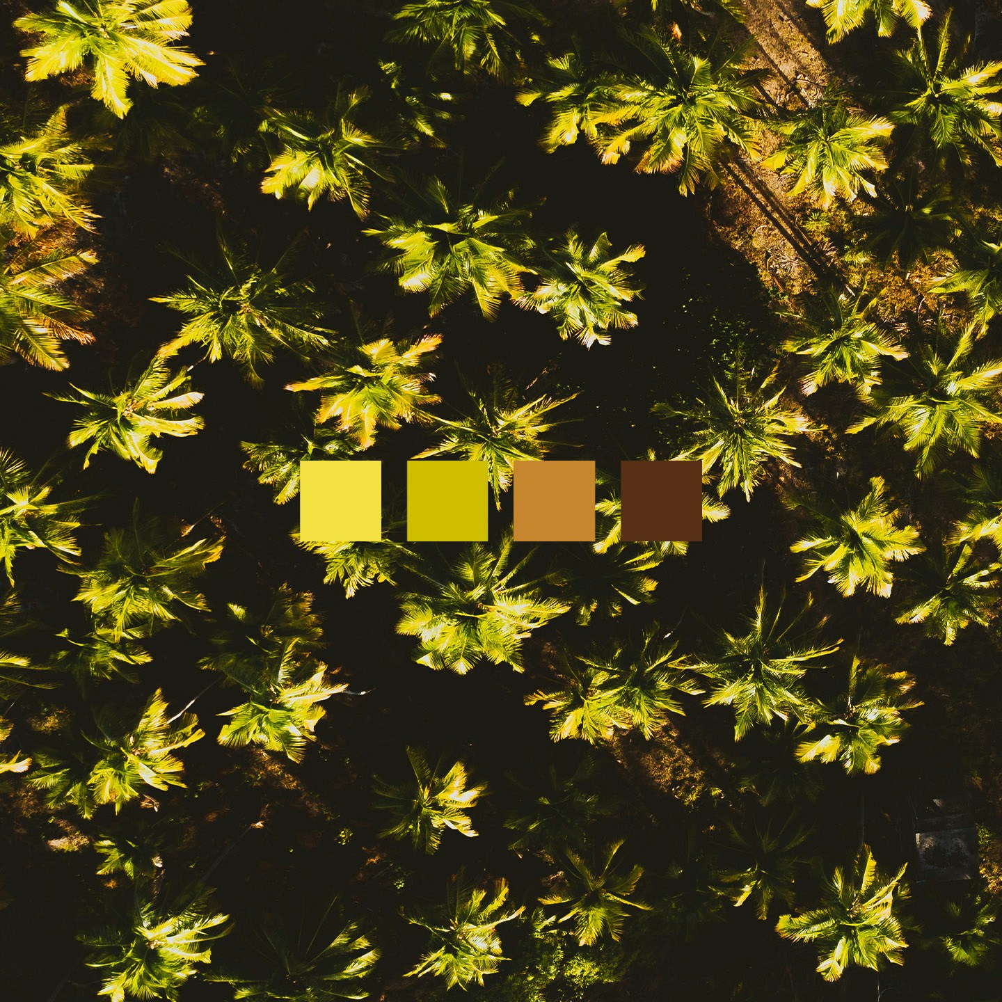 Avatar of user Jônatas Tinoco