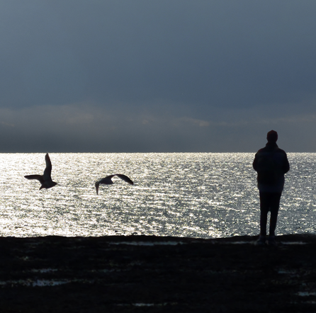 Go to kian zhang's profile