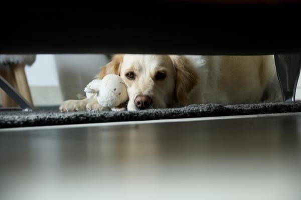 Accéder au profil de Benjamin Ilchmann