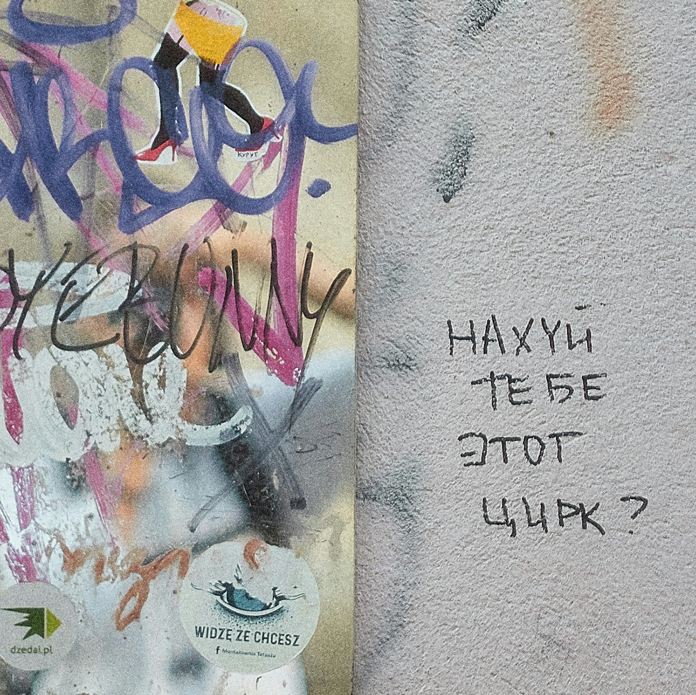 Go to Korney Violin's profile